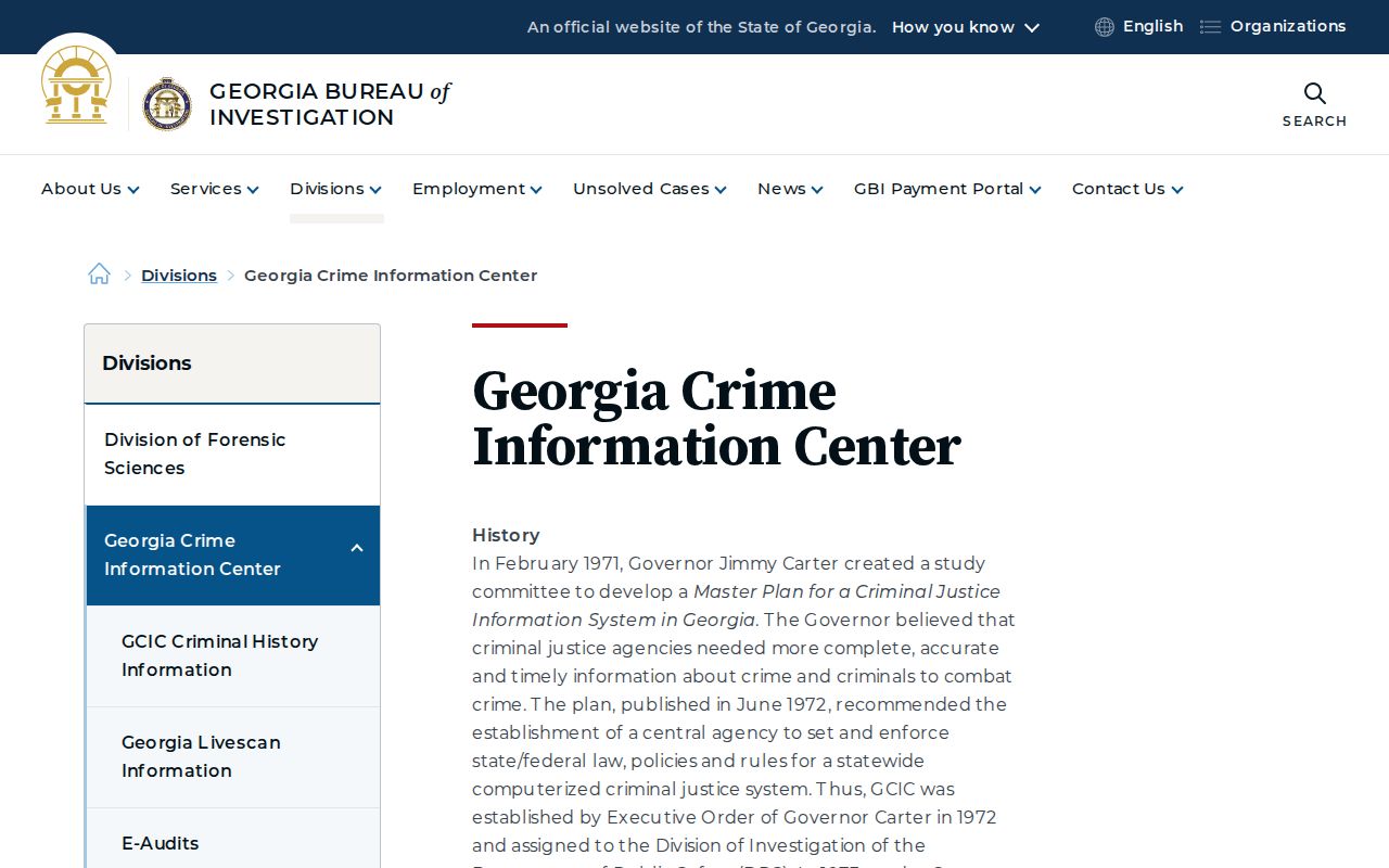 Georgia Crime Information Center official criminal record overview